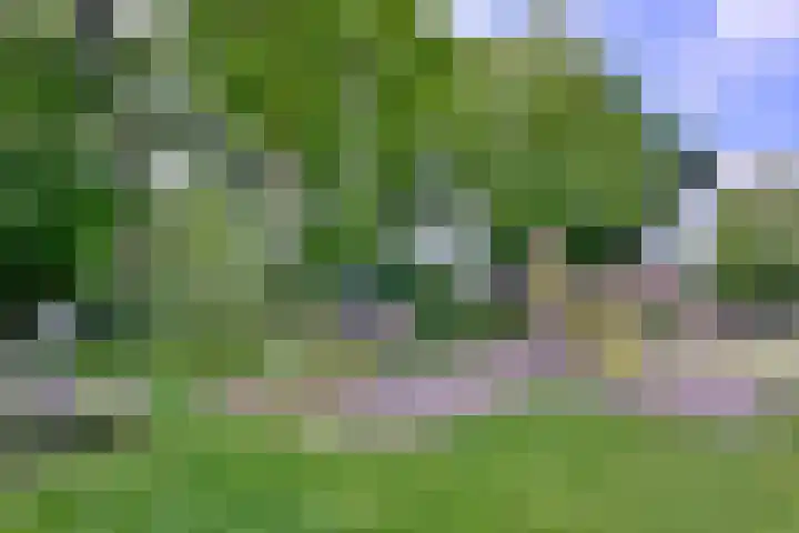 Het Bussink 11 Epse thumbnail 37