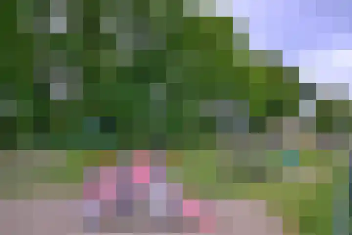 Het Bussink 11 Epse thumbnail 38
