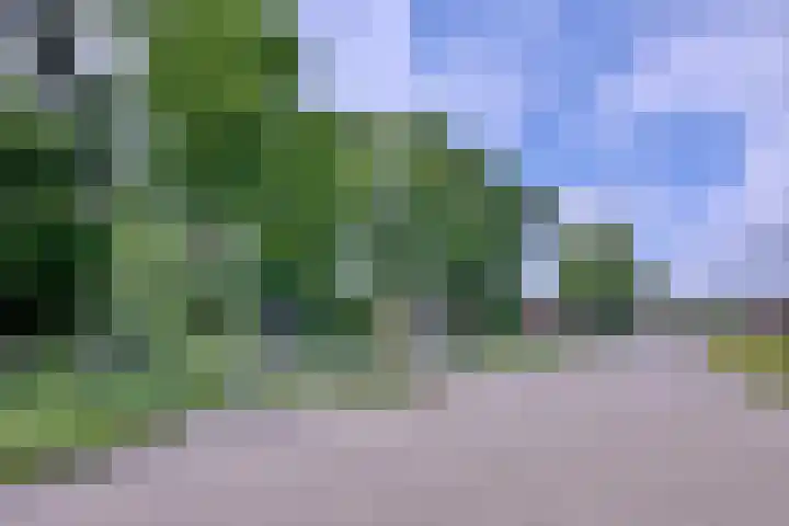 Het Bussink 11 Epse thumbnail 39