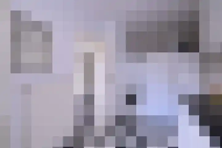 Het Bussink 11 Epse thumbnail 9