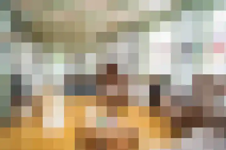 Het Buurtje 1 Oudeschild thumbnail 13
