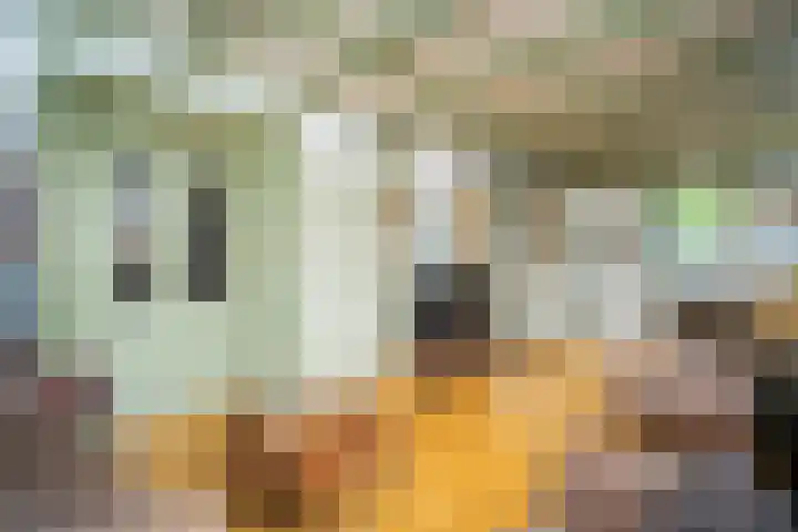 Het Buurtje 1 Oudeschild thumbnail 14