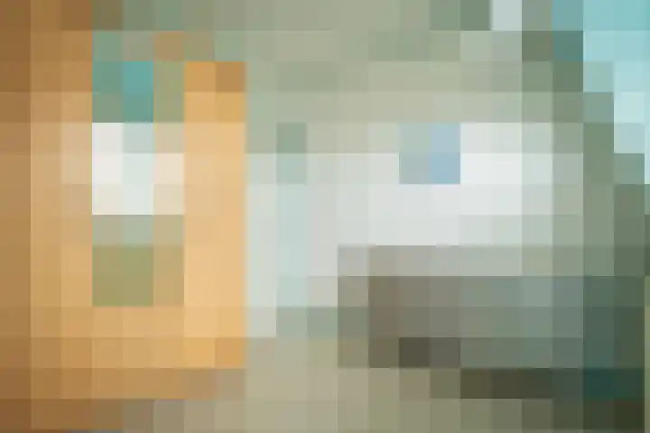 Het Buurtje 1 Oudeschild thumbnail 27