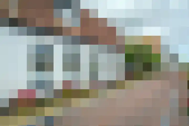 Het Buurtje 1 Oudeschild foto 3