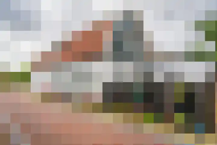 Het Buurtje 1 Oudeschild thumbnail 31
