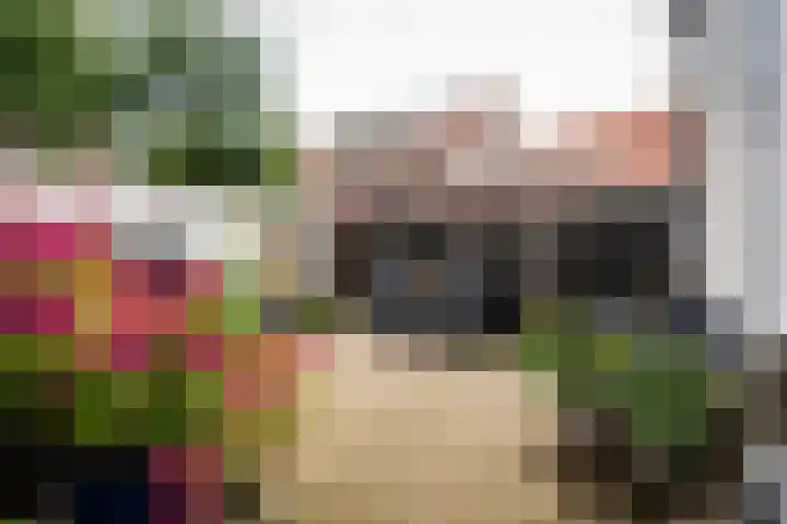 Het Buurtje 1 Oudeschild thumbnail 4