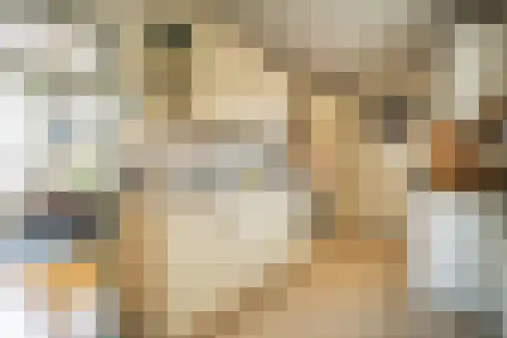 Het Buurtje 1 Oudeschild thumbnail 8