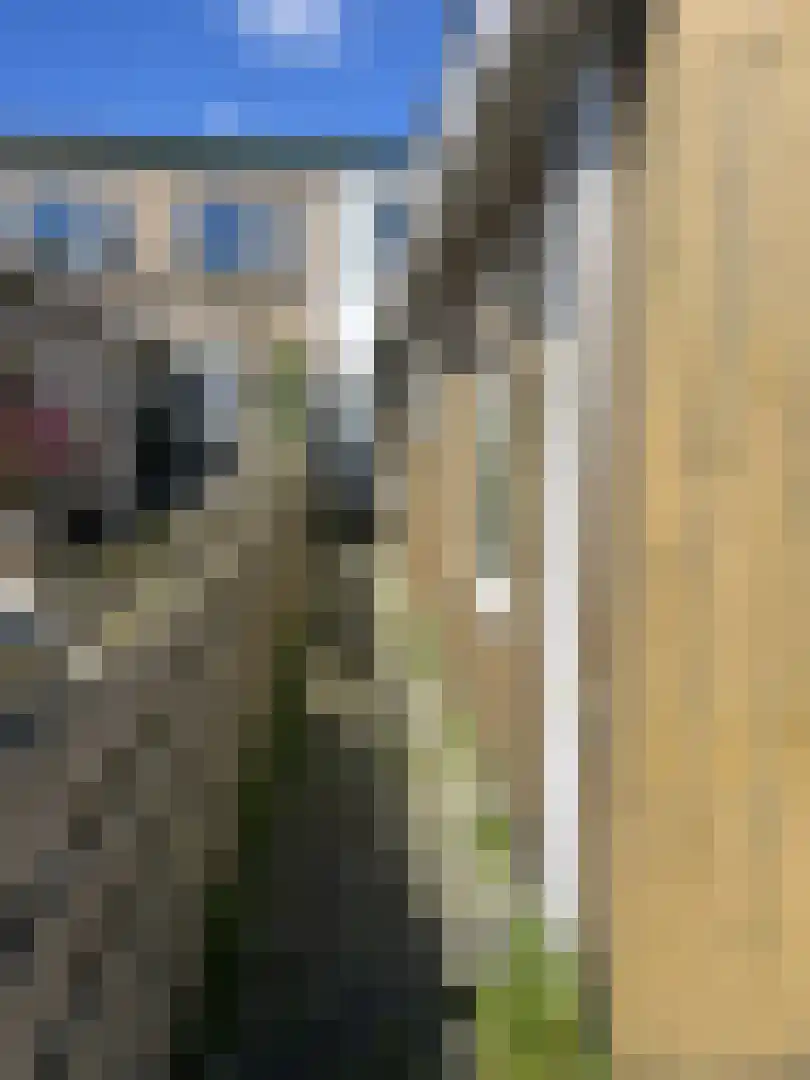 Het Buurtje 11 Oudeschild thumbnail 18