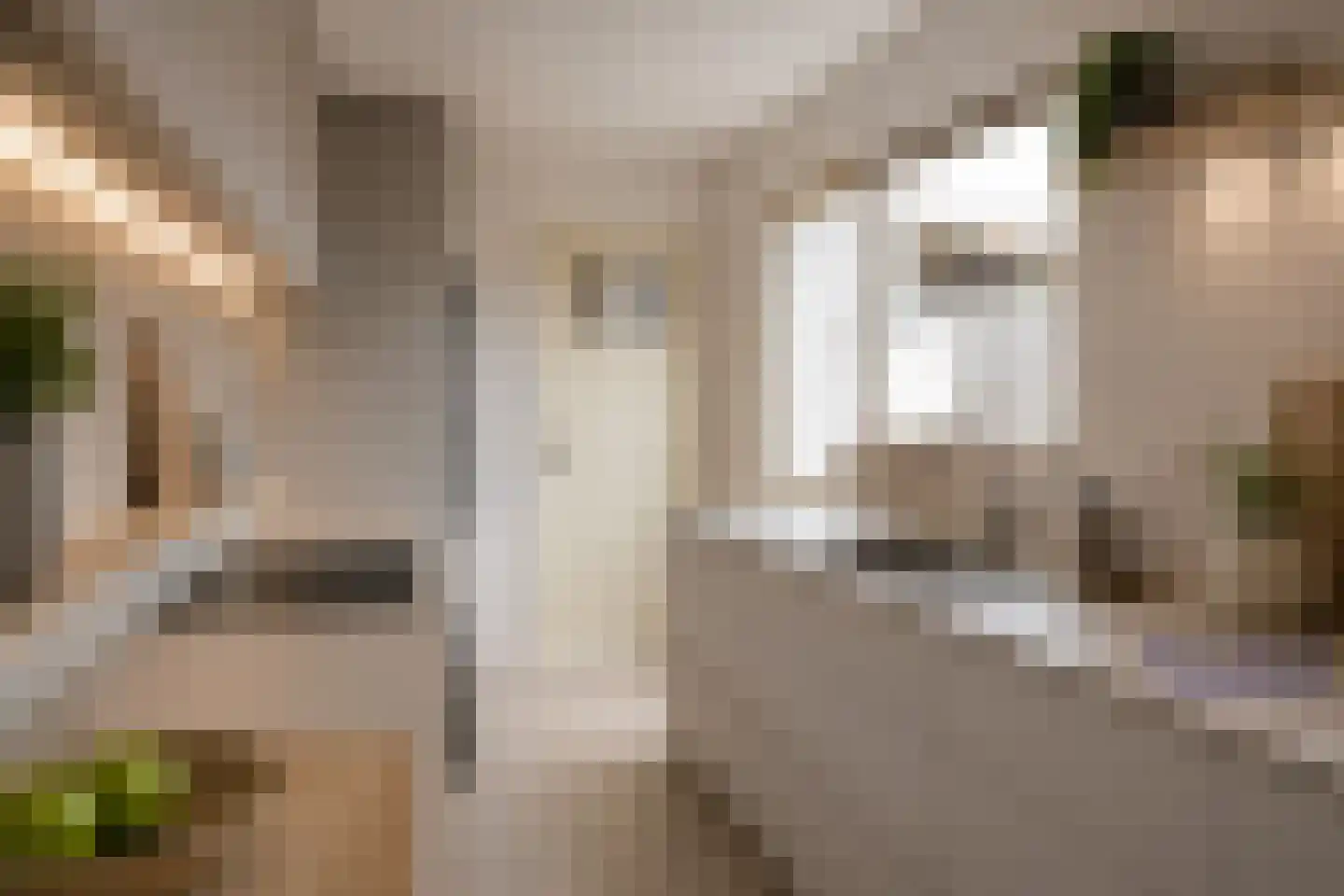 Het Buurtje 11 Oudeschild thumbnail 7