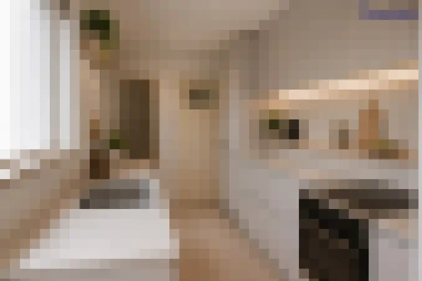 Het Buurtje 11 Oudeschild thumbnail 9