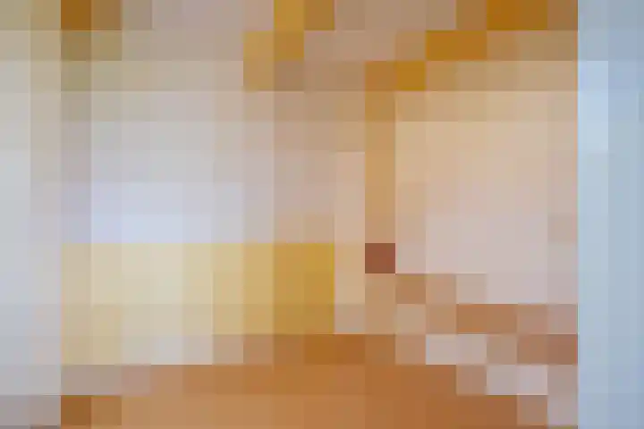 Het Buurtje 14 Oudeschild thumbnail 12