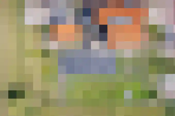 Het Buurtje 14 Oudeschild thumbnail 28
