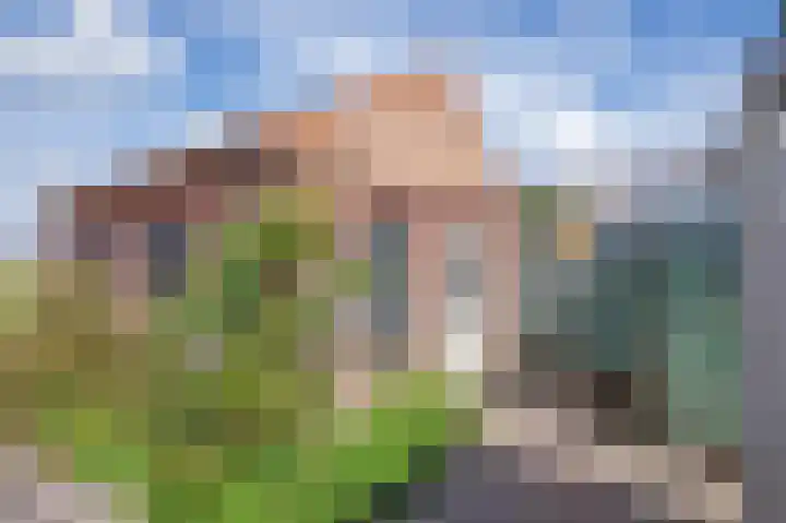 Het Buurtje 14 Oudeschild thumbnail 29