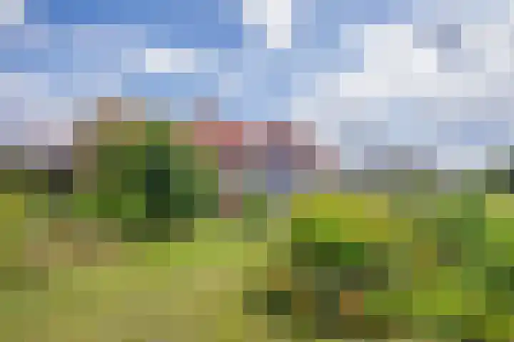 Het Buurtje 14 Oudeschild thumbnail 33