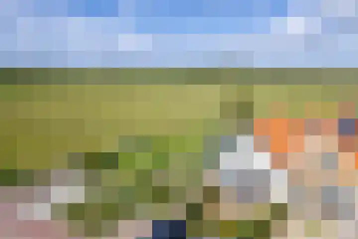 Het Buurtje 14 Oudeschild thumbnail 36