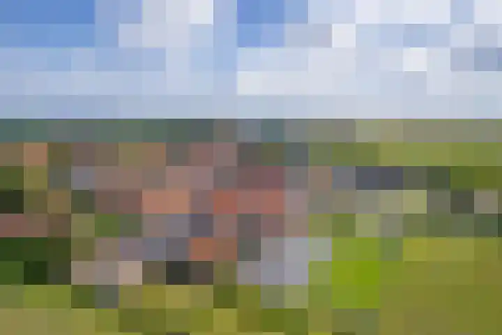 Het Buurtje 14 Oudeschild thumbnail 4
