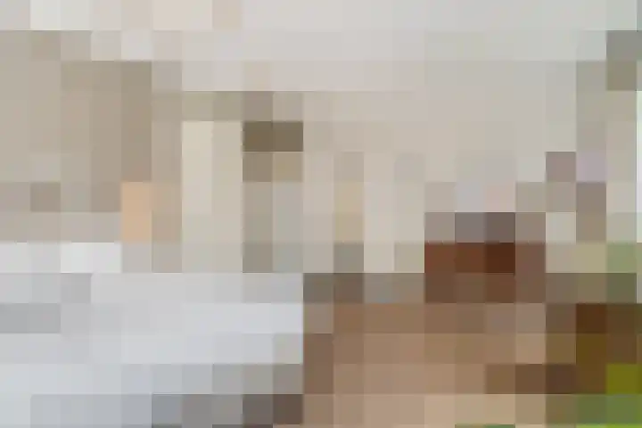 Het Carré 1 Ede thumbnail 17
