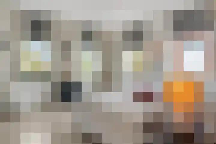 Het Carré 1 Ede thumbnail 31