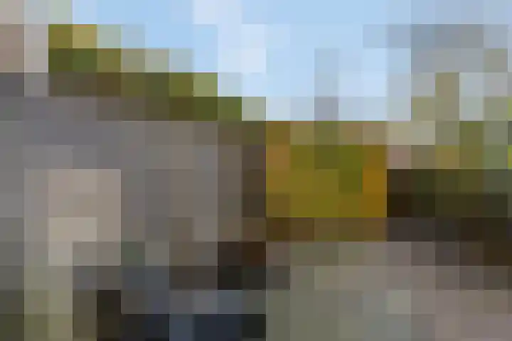 Het Carré 1 Ede thumbnail 36