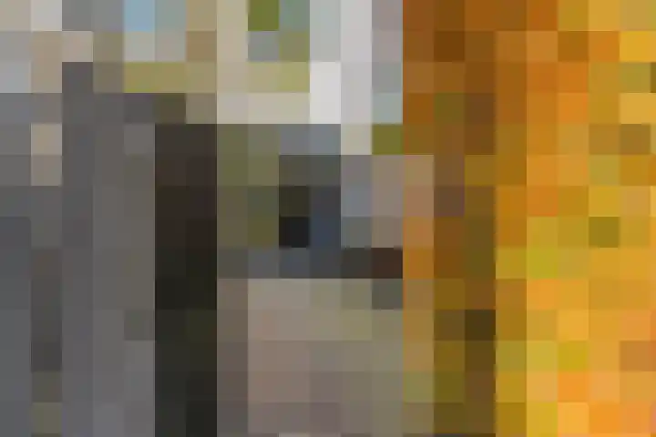 Het Carré 1 Ede thumbnail 40