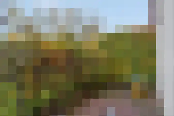 Het Carré 1 Ede thumbnail 41