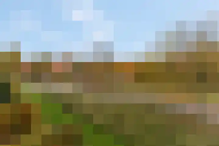 Het Carré 1 Ede thumbnail 48