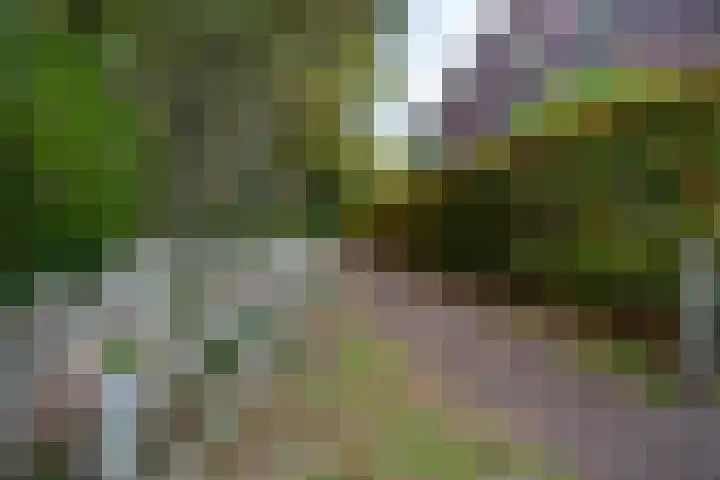 Het Carré 1 Ede thumbnail 51