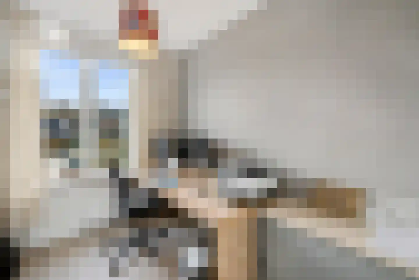 Het Carré 17 Ede thumbnail 15