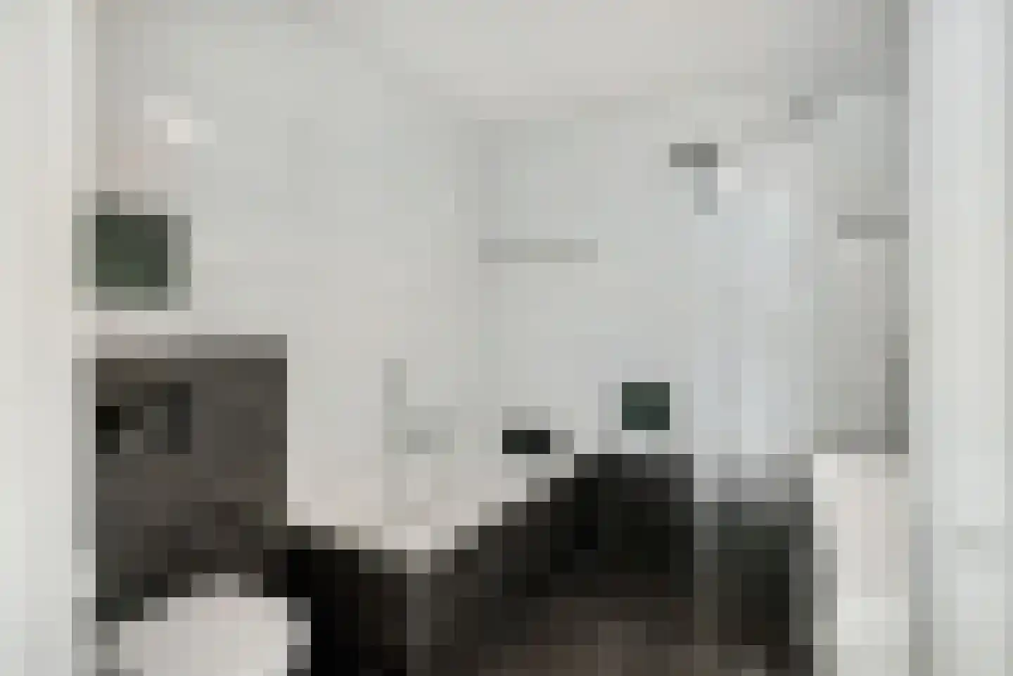 Het Carré 17 Ede thumbnail 18