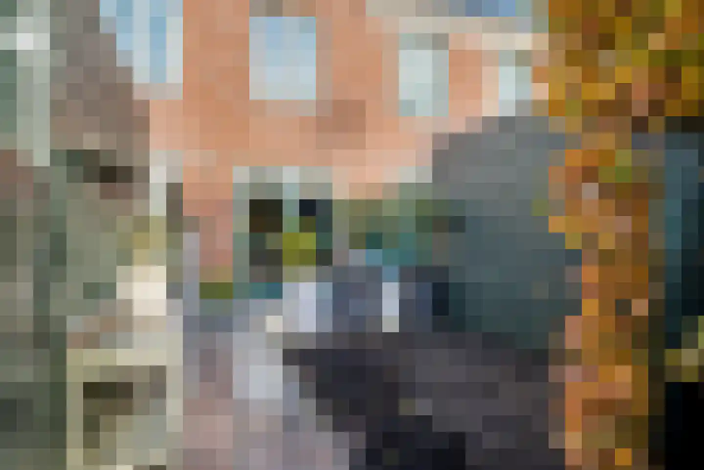 Het Carré 17 Ede thumbnail 27