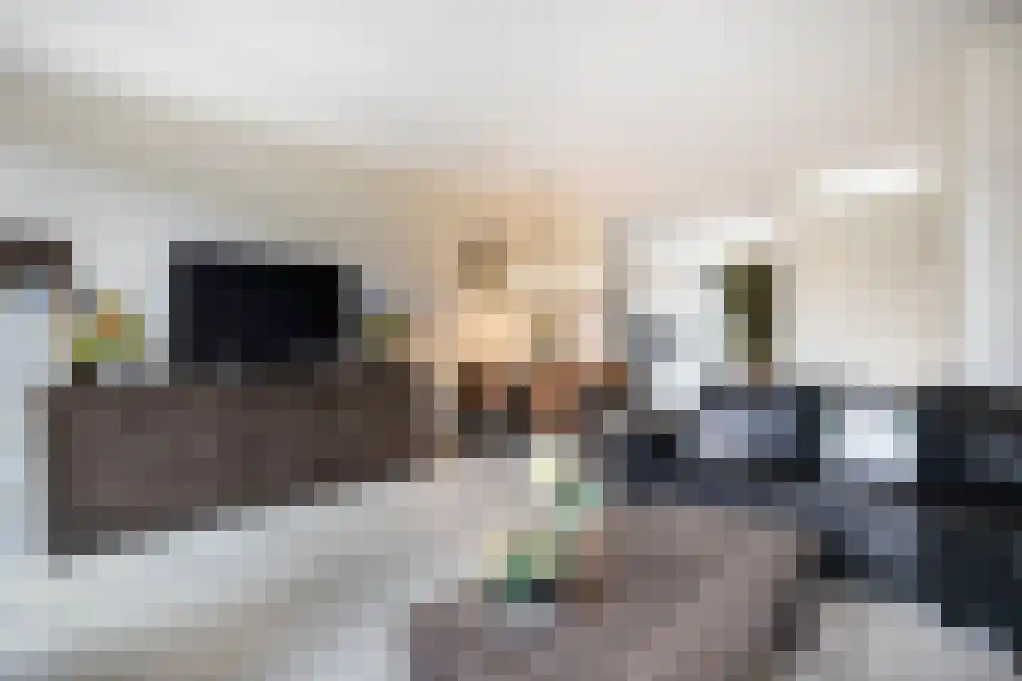 Het Carré 19 Ede thumbnail 6