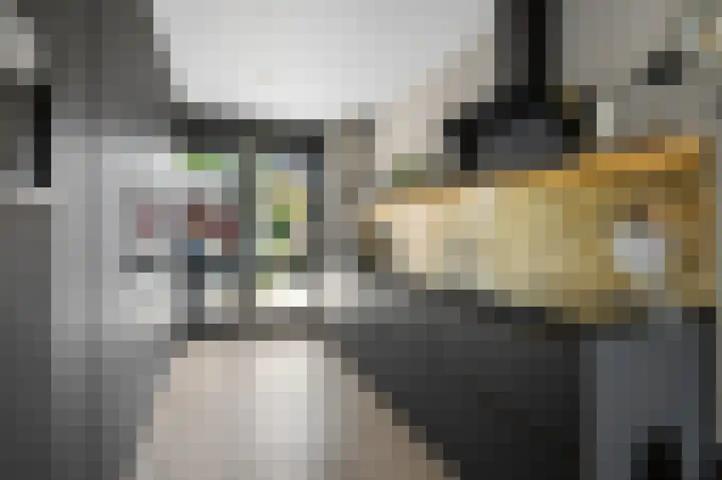 Het Carré 28 Ede thumbnail 12