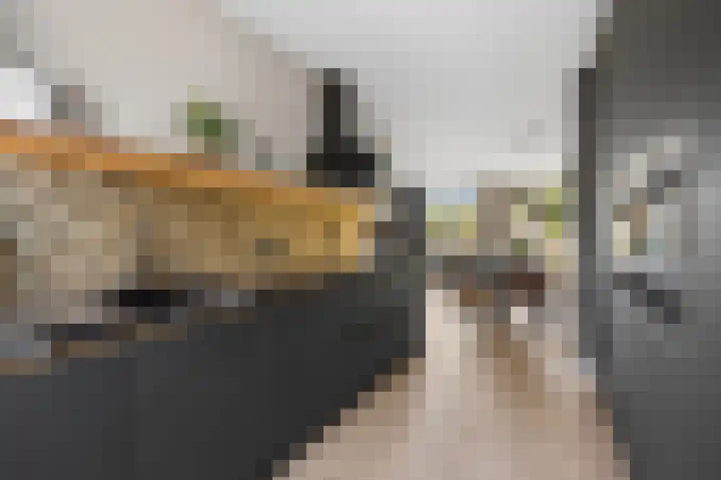 Het Carré 28 Ede thumbnail 13