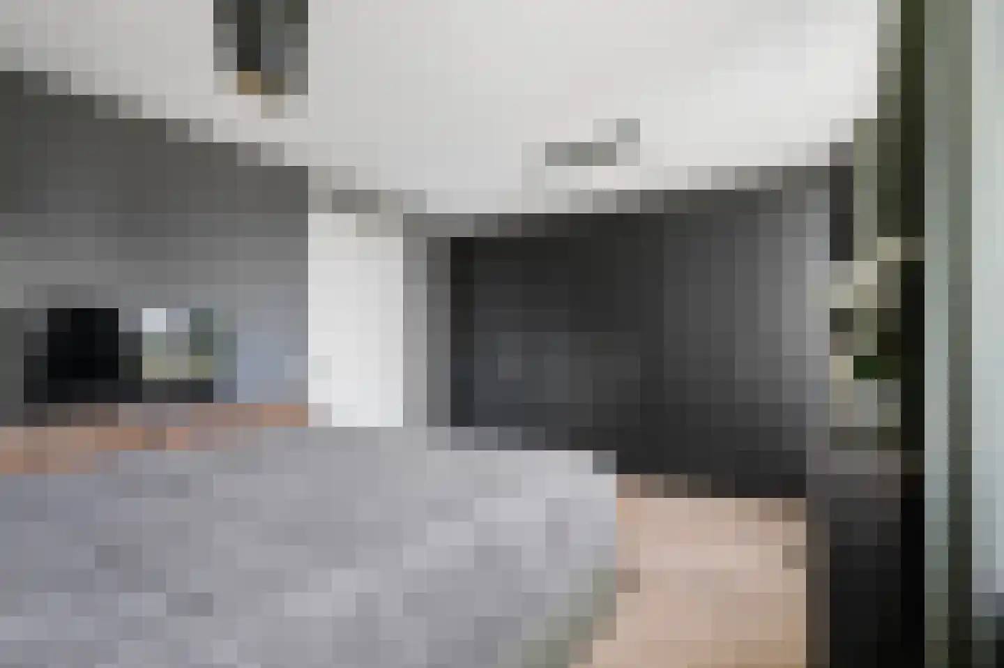 Het Carré 28 Ede thumbnail 18