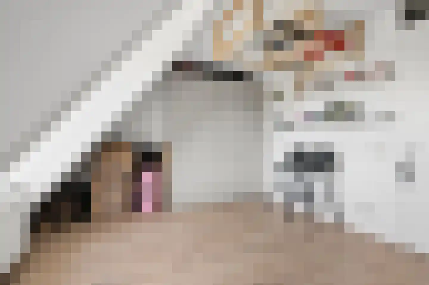 Het Carré 28 Ede thumbnail 27