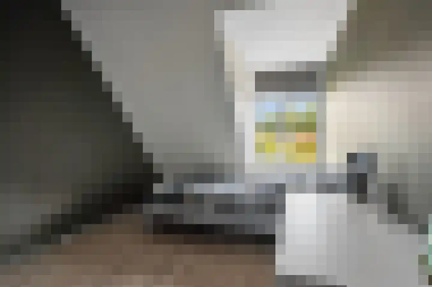 Het Carré 28 Ede thumbnail 30
