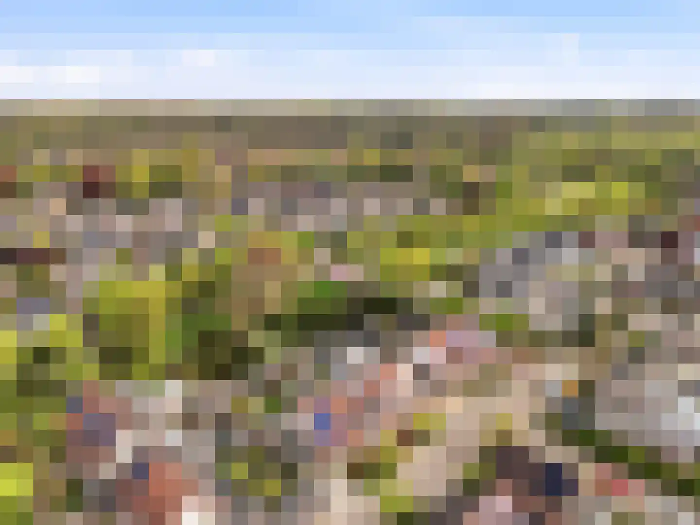 Het Cornegoor 3 Warnsveld thumbnail 33