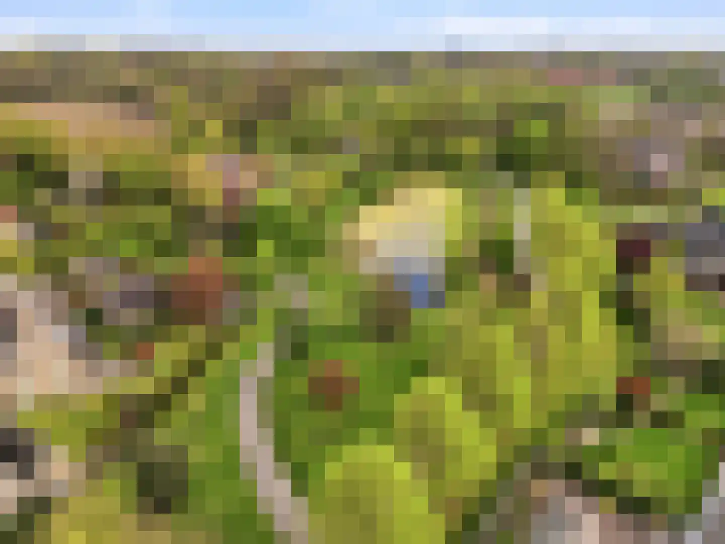 Het Cornegoor 3 Warnsveld thumbnail 34