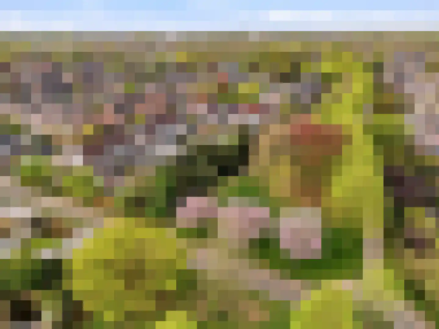 Het Cornegoor 3 Warnsveld thumbnail 35
