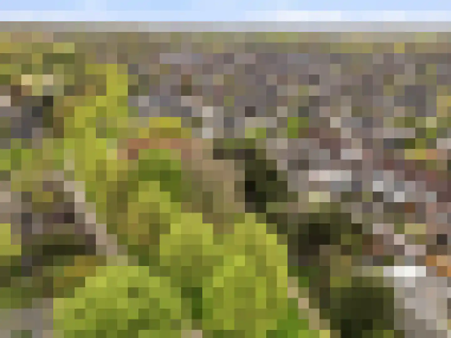 Het Cornegoor 3 Warnsveld thumbnail 36
