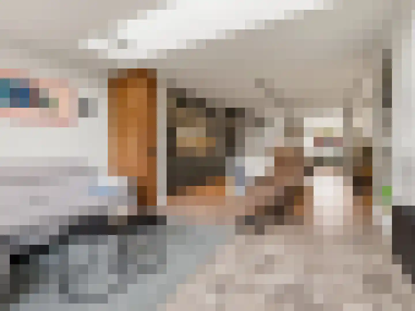 Het Cornegoor 3 Warnsveld thumbnail 6