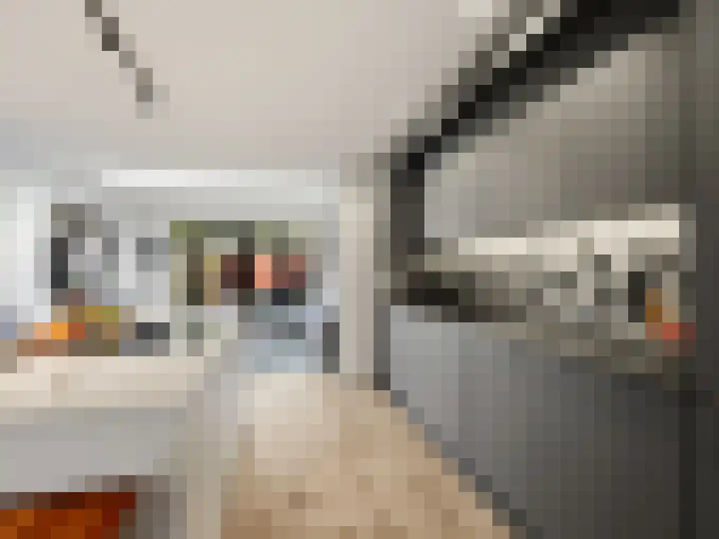 Het Cornegoor 3 Warnsveld thumbnail 8