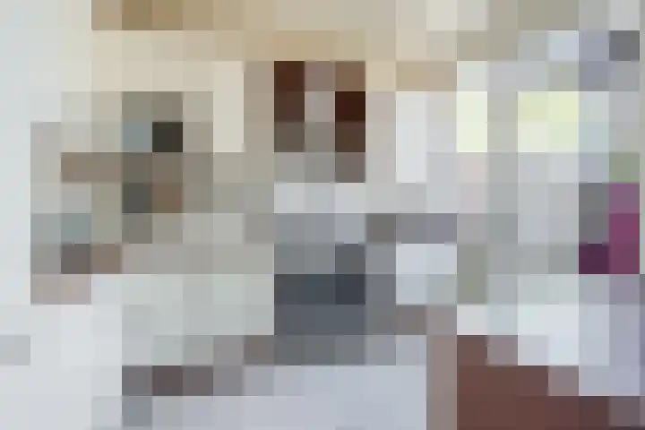 Het Corteland 16 Rijnsburg thumbnail 12