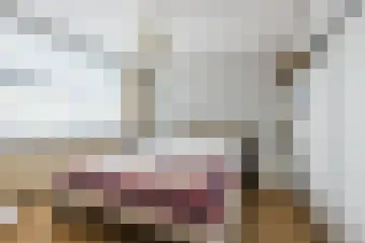 Het Corteland 16 Rijnsburg thumbnail 19