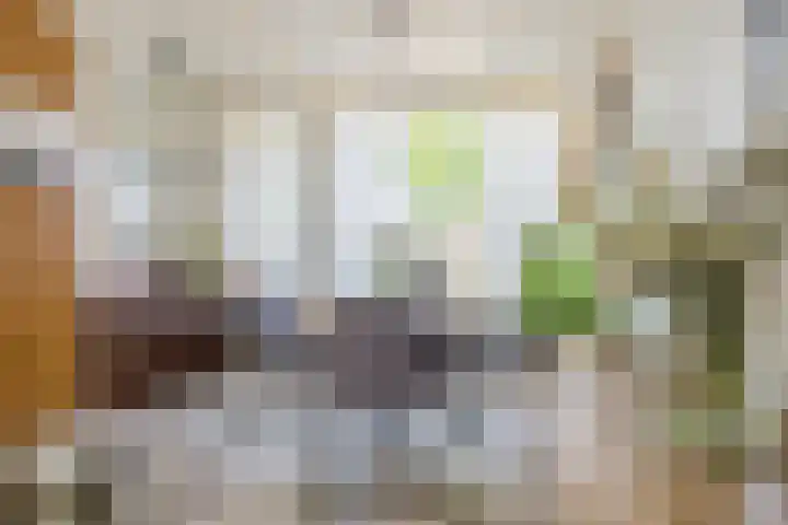 Het Corteland 16 Rijnsburg thumbnail 8