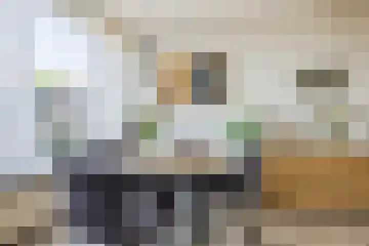 Het Corteland 16 Rijnsburg thumbnail 9