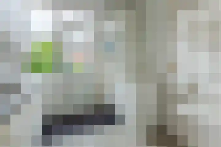 Het Corteland 8 Rijnsburg thumbnail 17