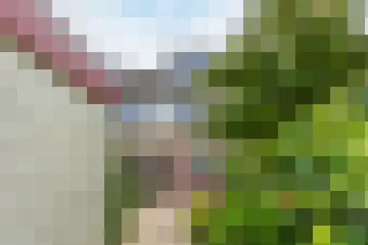 Het Corteland 8 Rijnsburg thumbnail 39