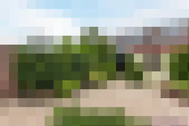 Het Corteland 8 Rijnsburg thumbnail 40