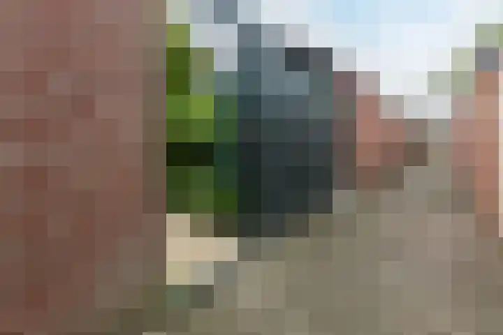 Het Corteland 8 Rijnsburg thumbnail 42